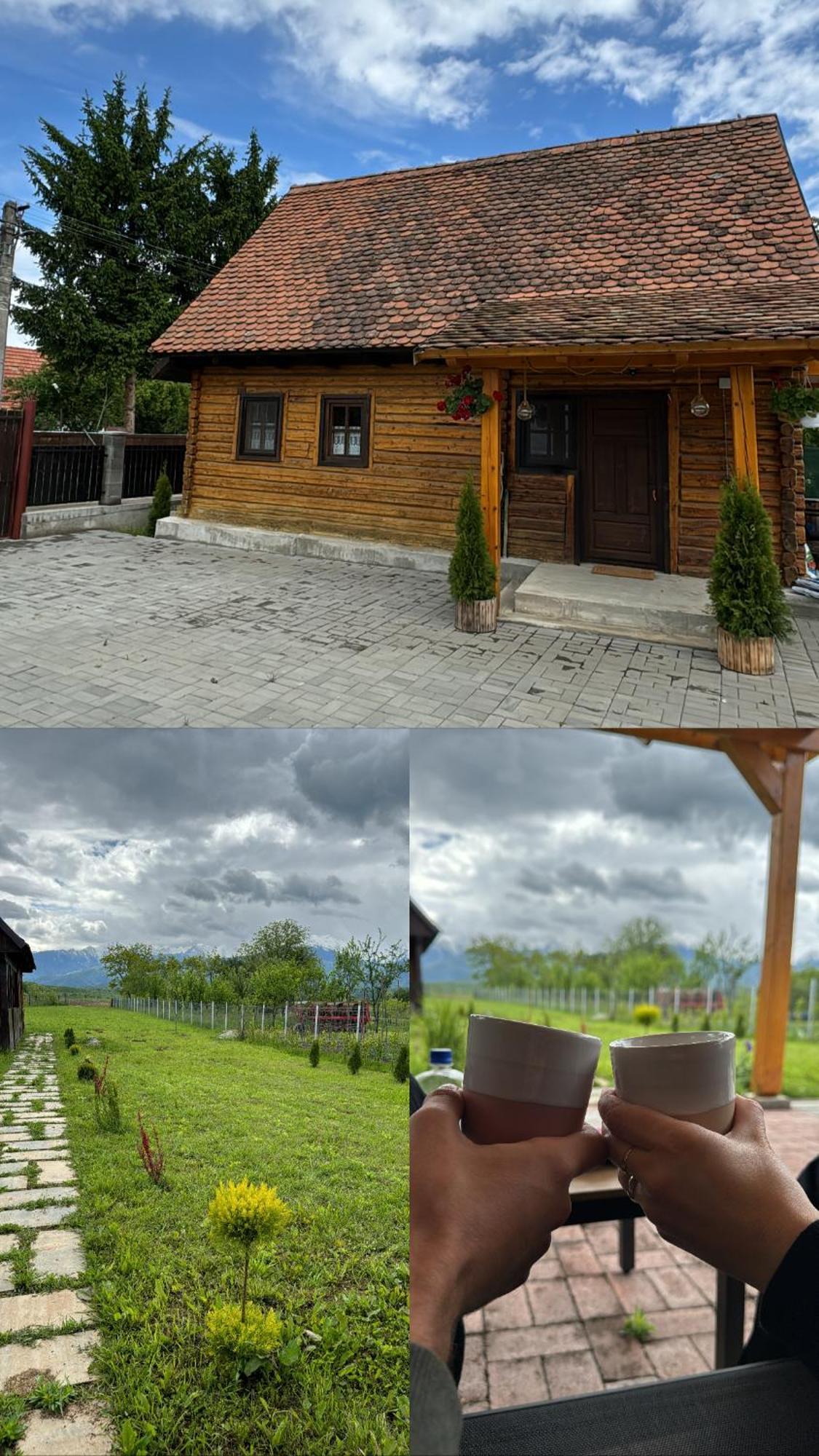 Casuta Cu Tihna Villa Porumbacu de Sus Exterior photo